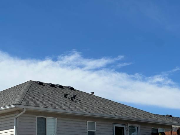 Best Asphalt Shingle Roofing  in Moss Beach, CA